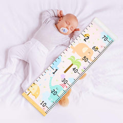 Beinou growth chart rolled for easy storage.