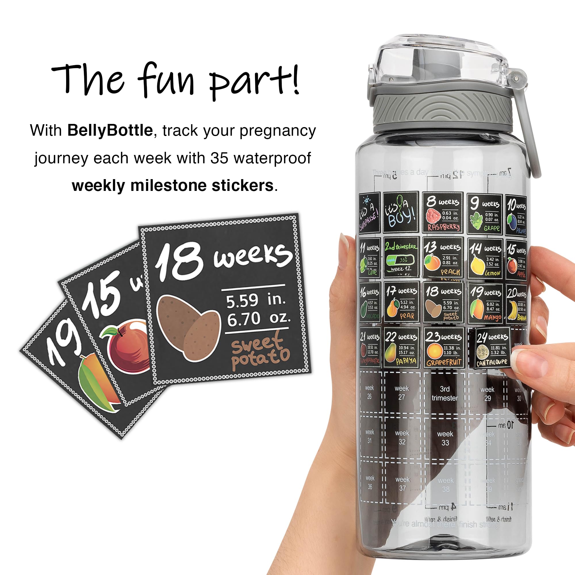 BellyBottle BPA-free Tritan bottle for safe, durable hydration.