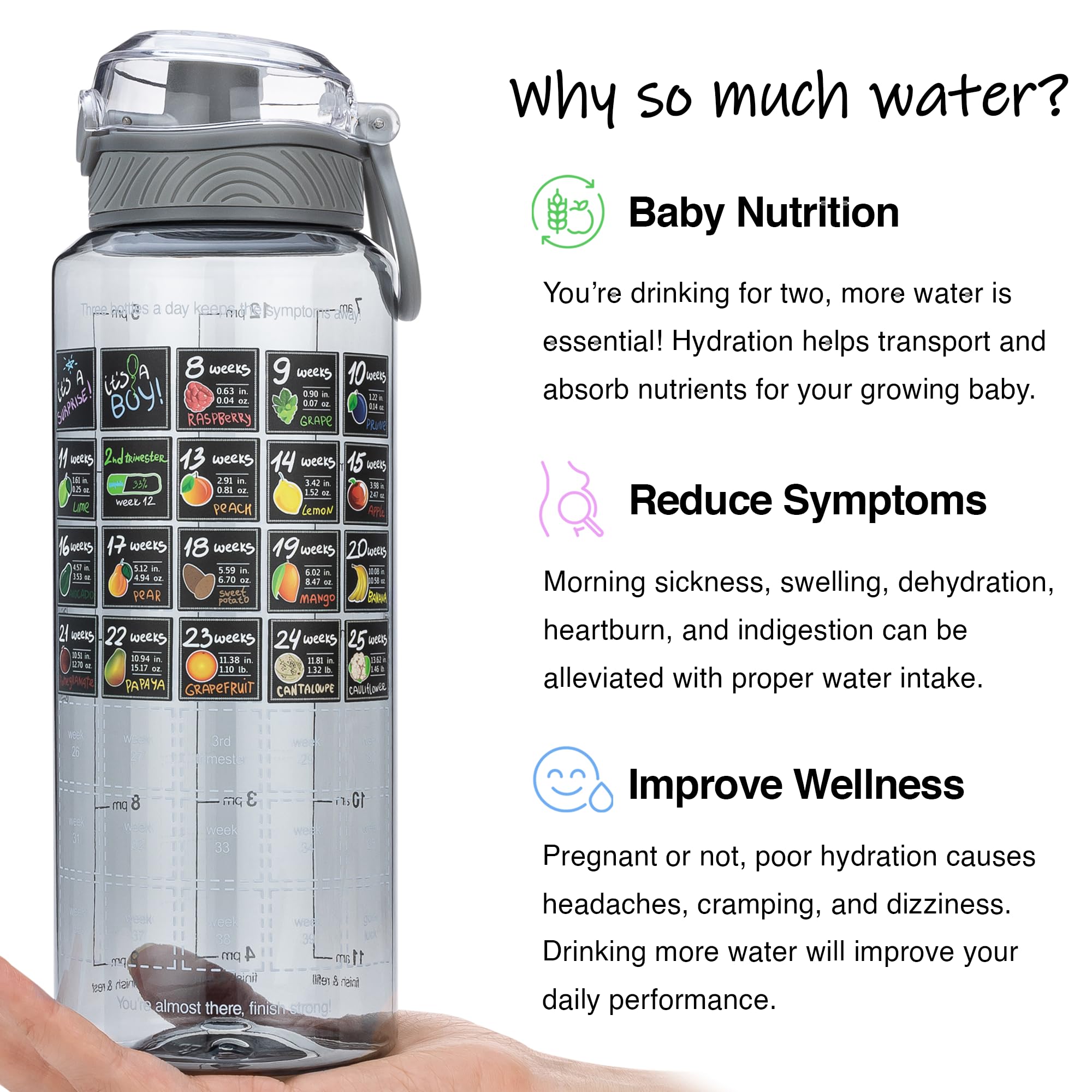 BellyBottle daily water goal visualization for consistent intake.
