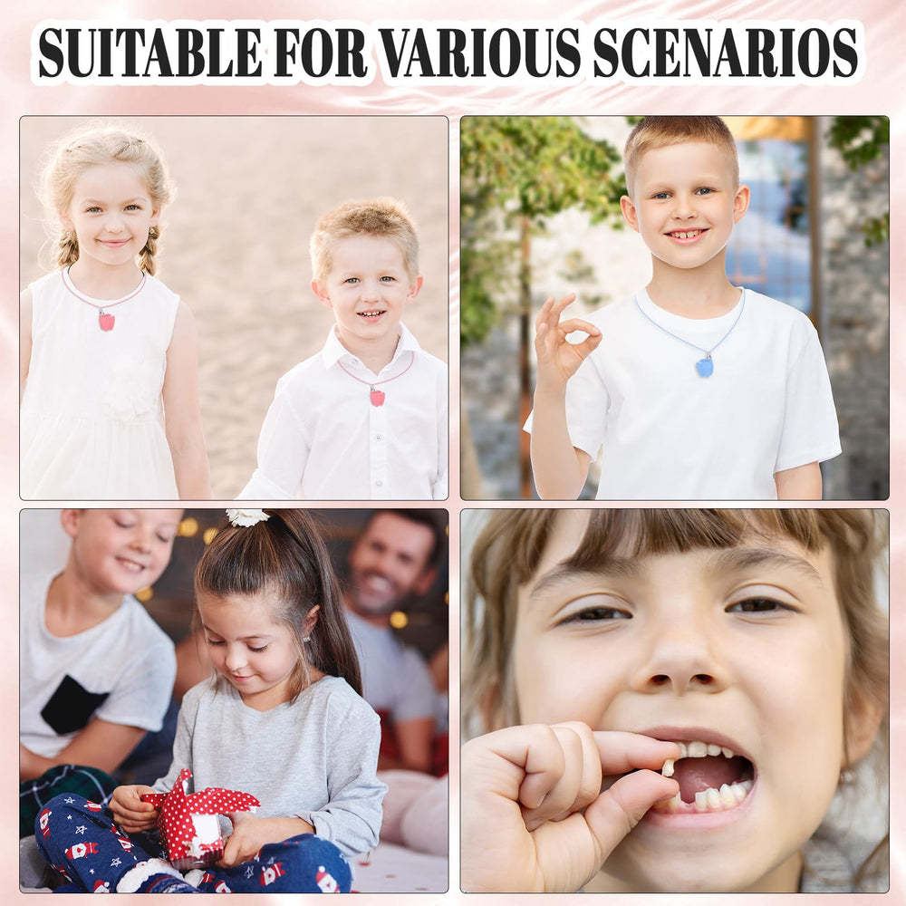 Bewudy storage box keeps lost teeth organized as a compact keepsake.