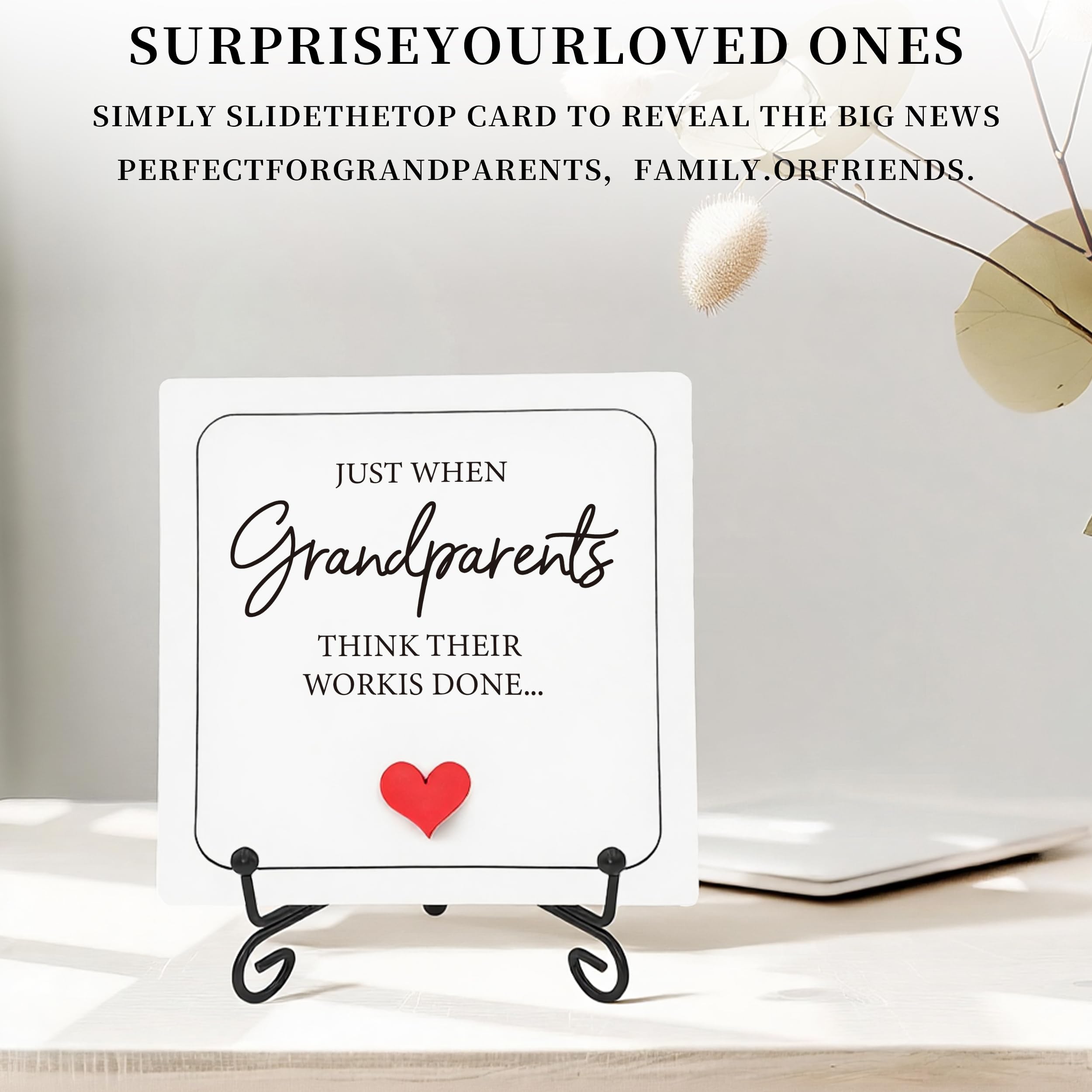 BGFMVS pregnancy reveal gift for family and friends