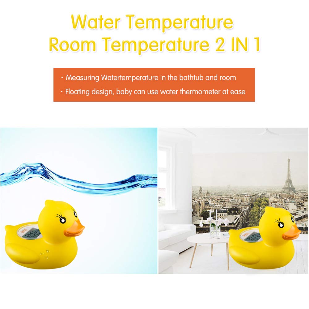 B&H Lady Duck thermometer shows room temperature for setup.
