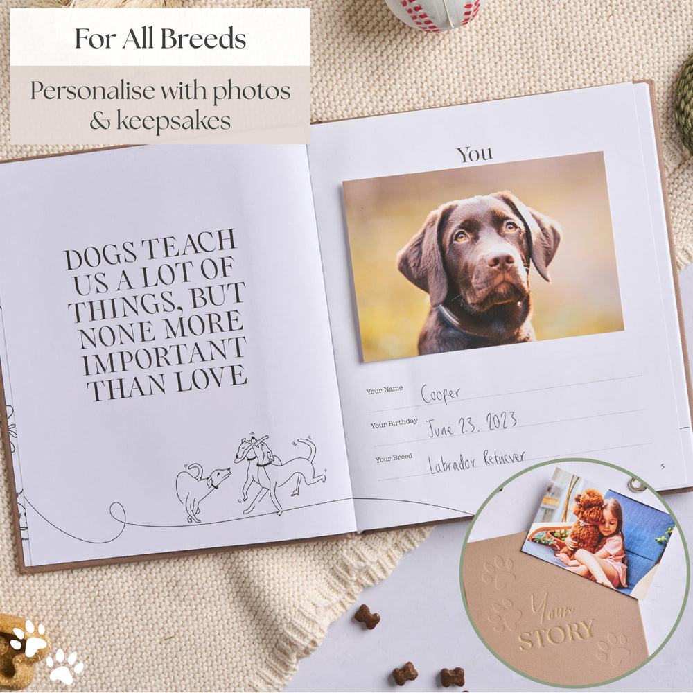 Bibi & Beau remembering-you memorial page honors lasting bonds.
