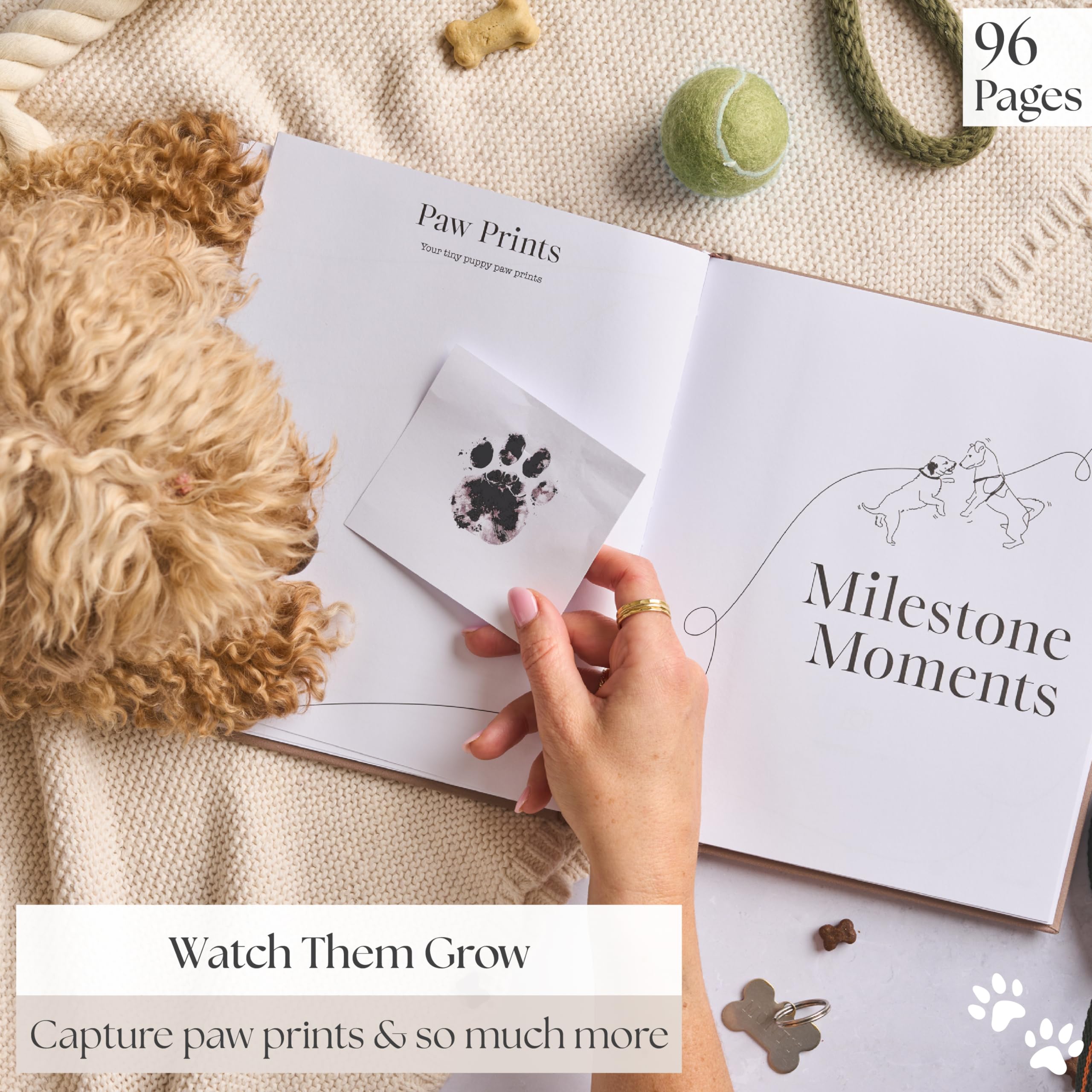 Bibi & Beau weight chart page tracks your puppy's growth over time.