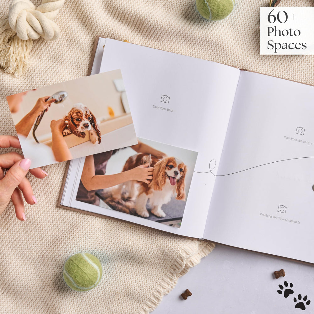 Bibi & Beau your favorites page highlights cherished moments and favorites.