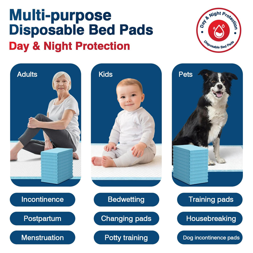 BIGGMED disposable pad box front view, 100-count packaging.