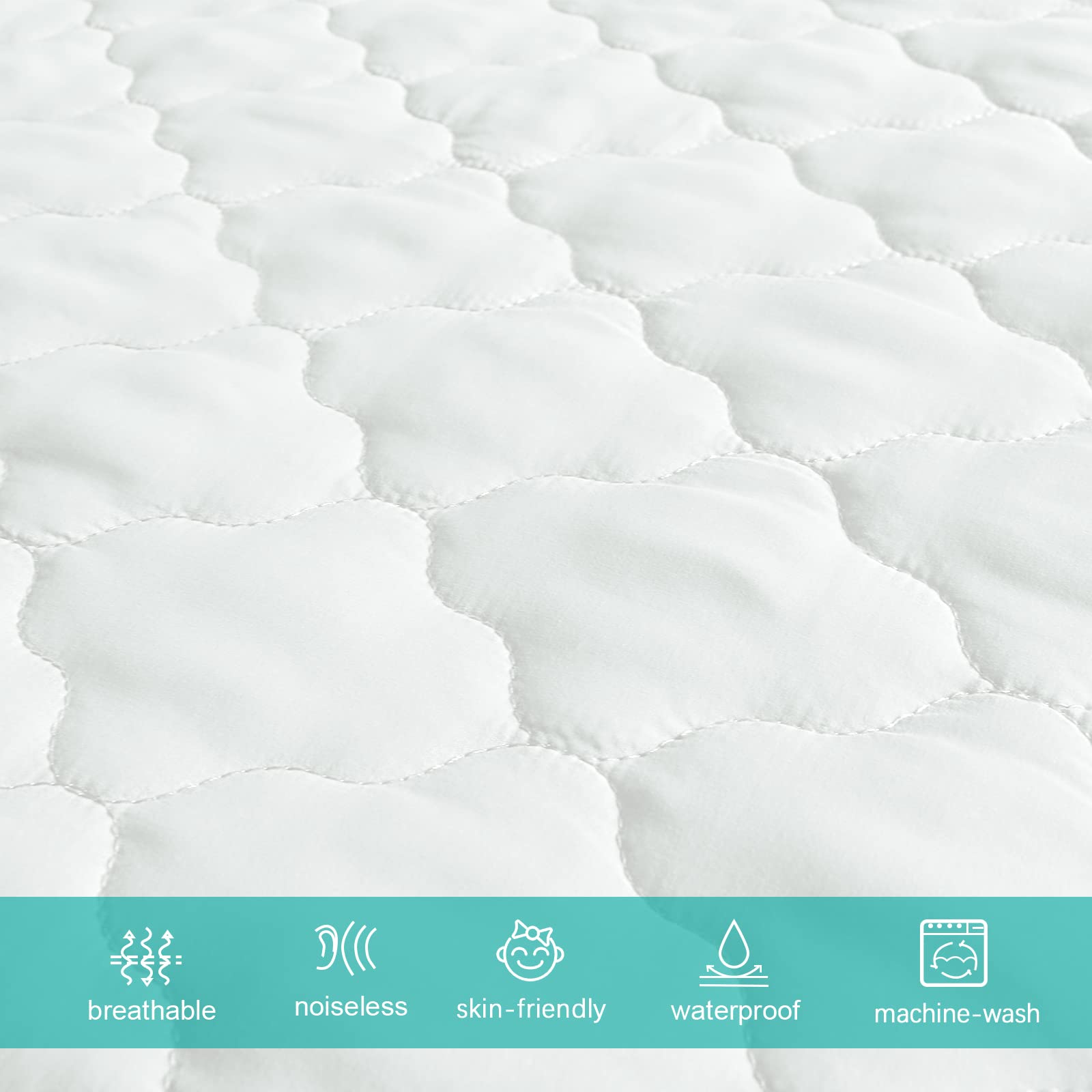 Biloban machine washable design for easy cleanup after accidents