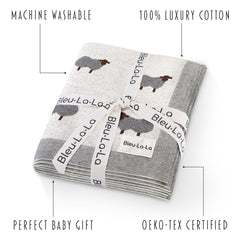 Bleu La La baby blanket in stroller demonstrates versatile everyday use