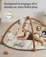 Blissful Diary six detachable toys to enhance early learning and play.