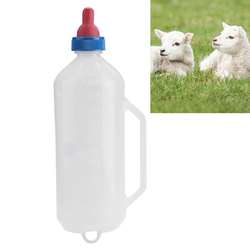 Bordabstract hand grip supports stable feeding sessions.