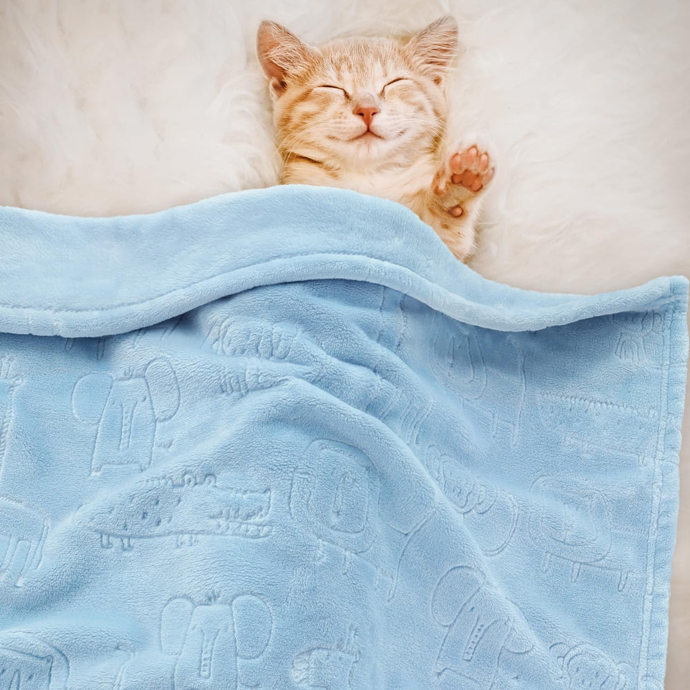 BORITAR animal-print blanket adds cute outings style.