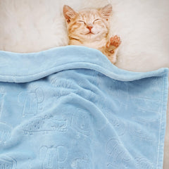BORITAR animal-print blanket adds cute outings style.