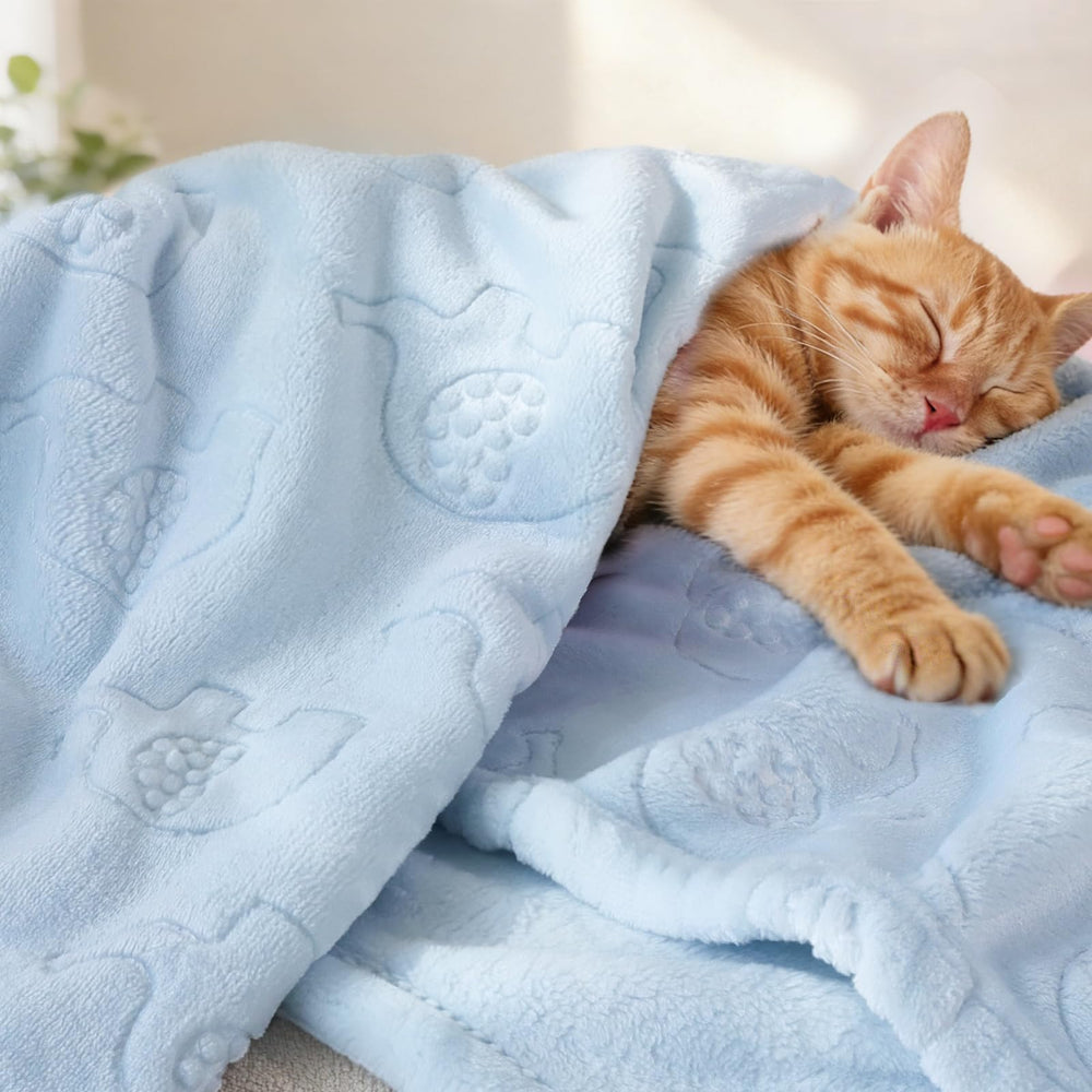BORITAR gift-ready fleece blanket ideal for baby showers