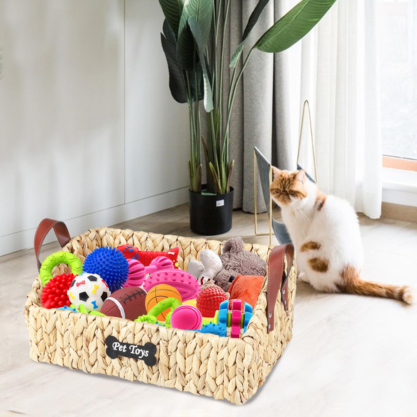 Brabtod dimensions 40x26x17 cm fit in compact spaces.
