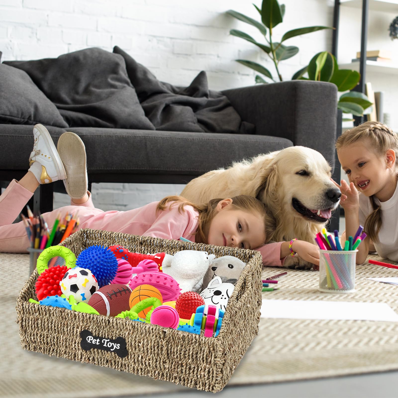 Brabtod seagrass organizer keeps toys, treats and leashes neatly stored.