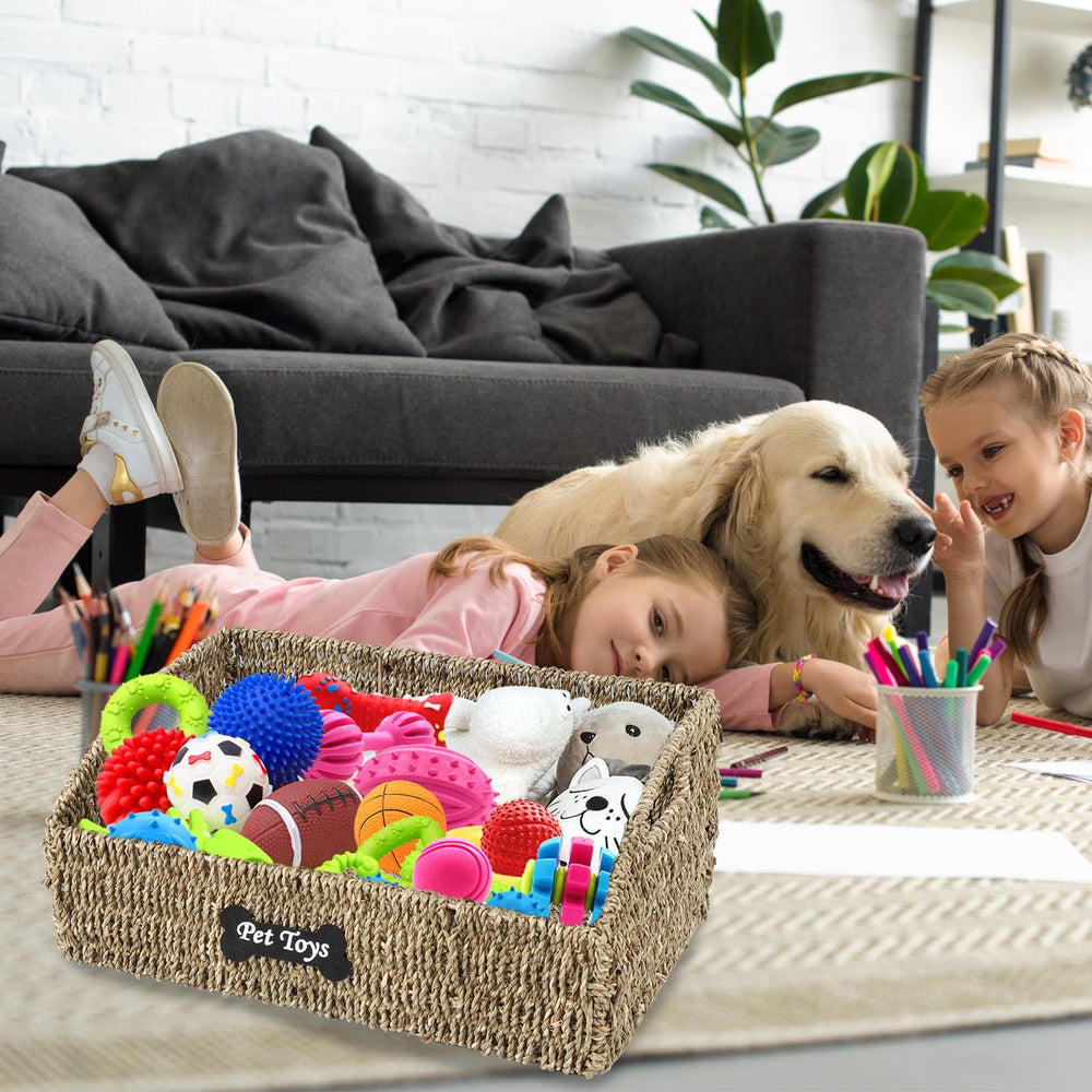 Brabtod seagrass organizer keeps toys, treats and leashes neatly stored.