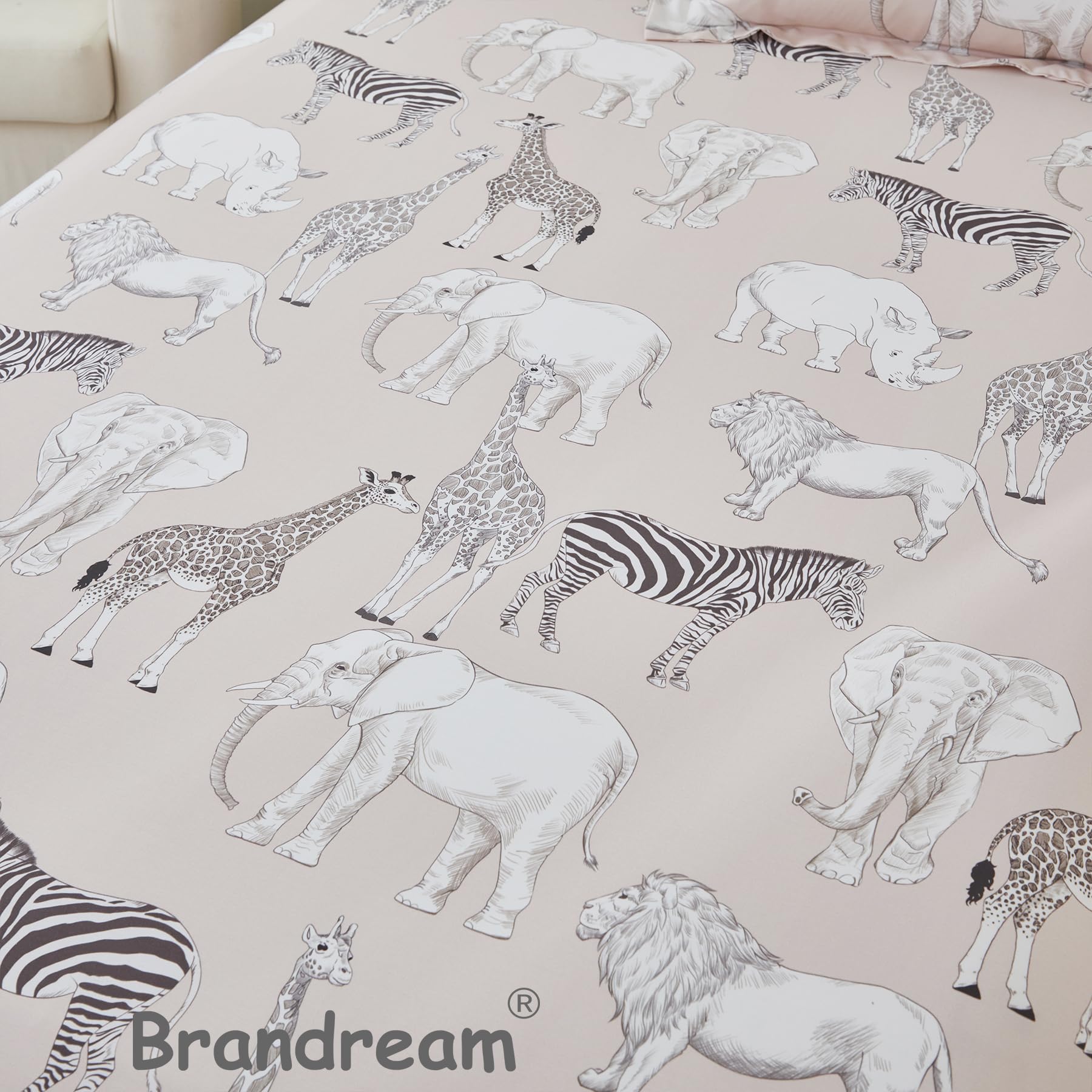 Brandream packaging display presenting the 3-piece set as a gift option