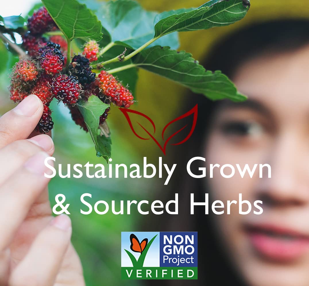 Bravo Tea Menopause Comfort herb blend closeup featuring wild-grown ingredients