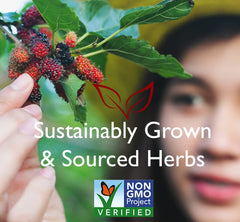 Bravo Tea Menopause Comfort herb blend closeup featuring wild-grown ingredients