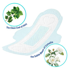 BST Protection mini panty liner with wings and Camellia extract offering skin-softening comfort.