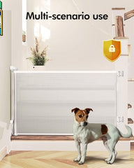 BuddyZone gate extended to 55 inches, creating a wide barrier.