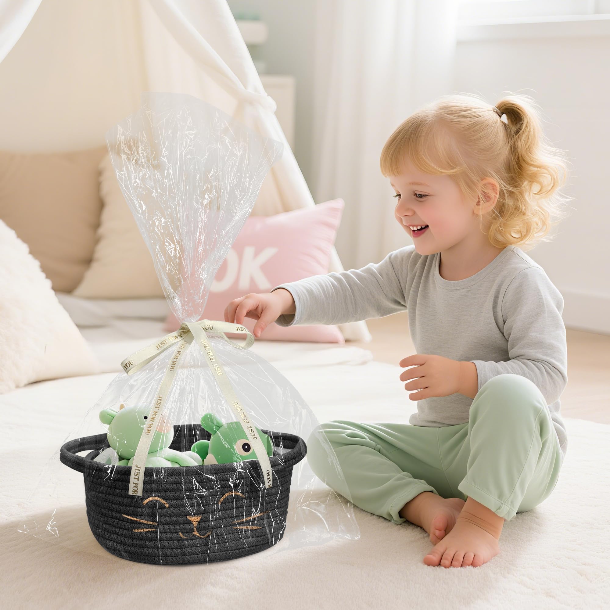 BYLSSNUK desktop organizer basket for remotes and small items