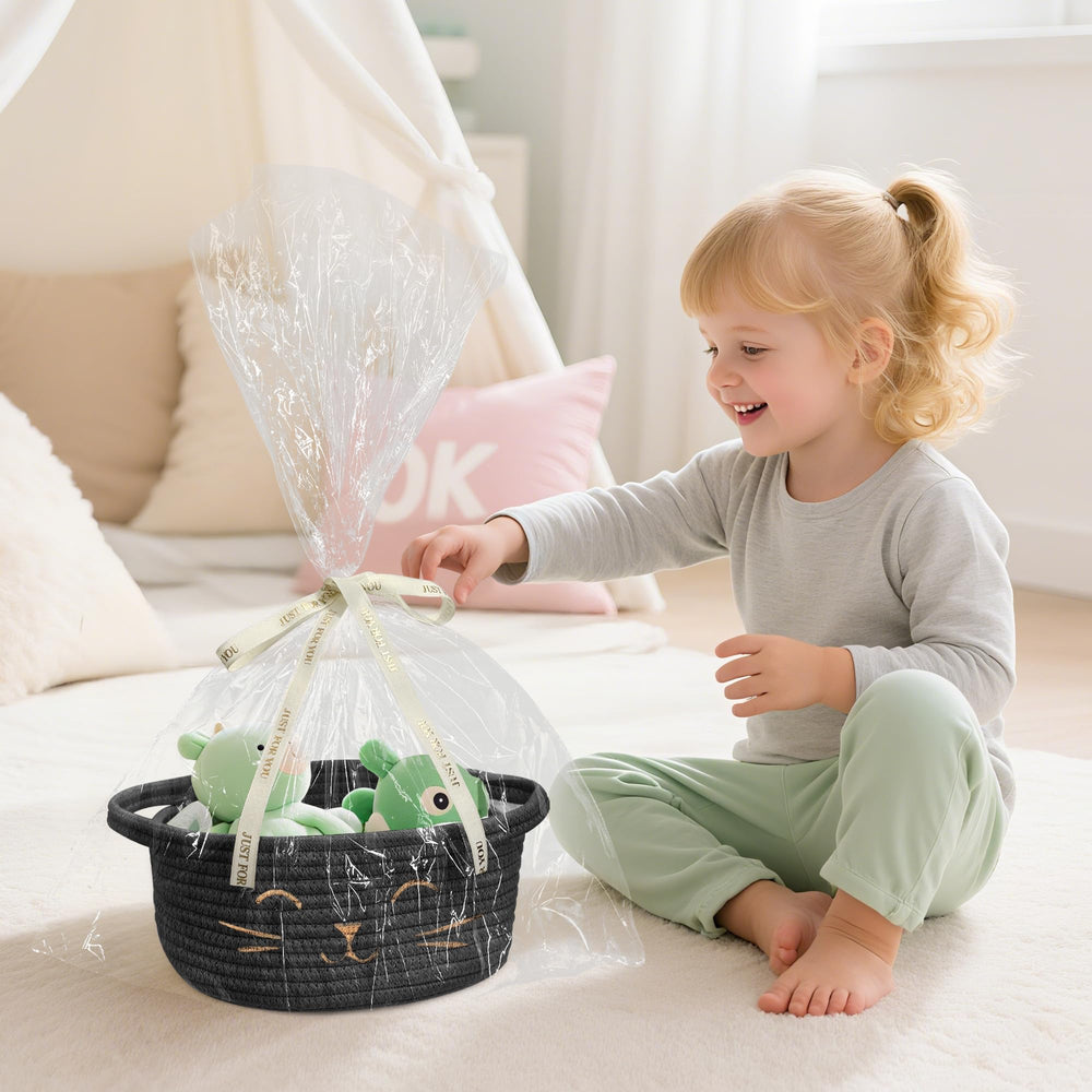 BYLSSNUK desktop organizer basket for remotes and small items