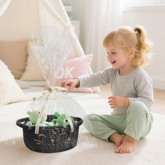 BYLSSNUK desktop organizer basket for remotes and small items