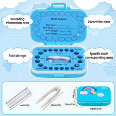 Caffox tooth container for lost teeth keeps memories safe and organized