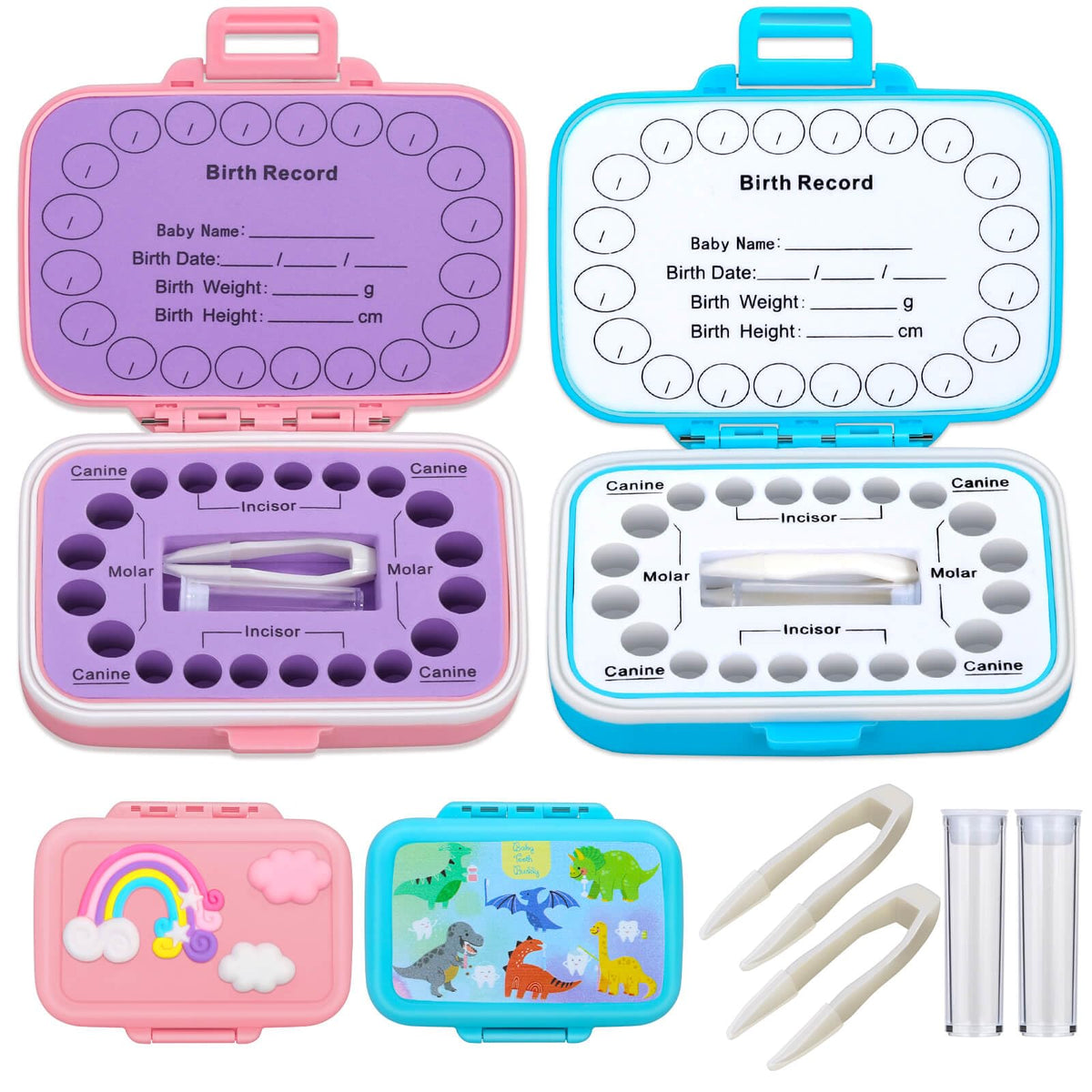 Caffox blue dinosaur rainbow tooth holder keeps precious baby teeth securely stored