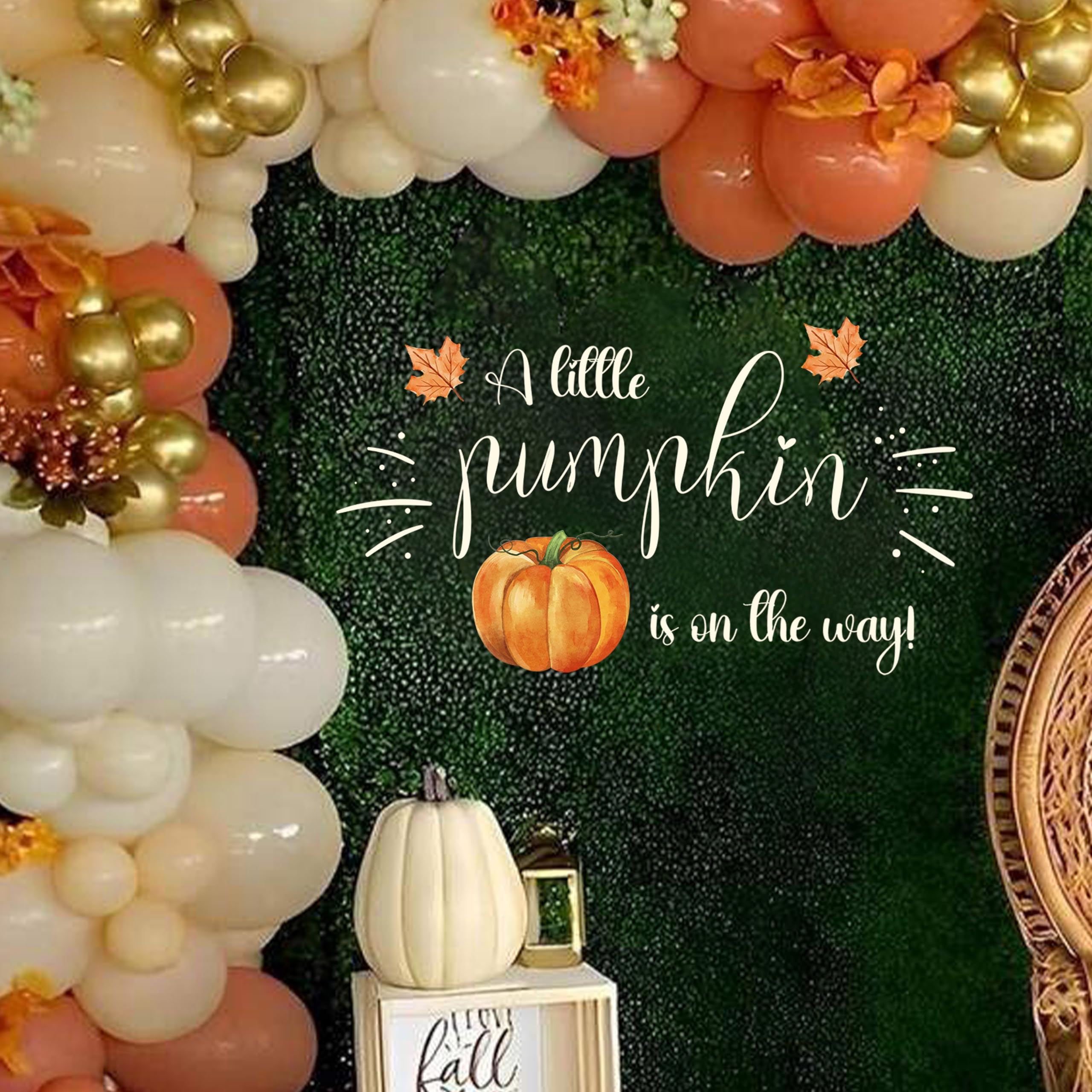 CANTLY A Little Pumpkin is on the Way creates warm seasonal ambiance.