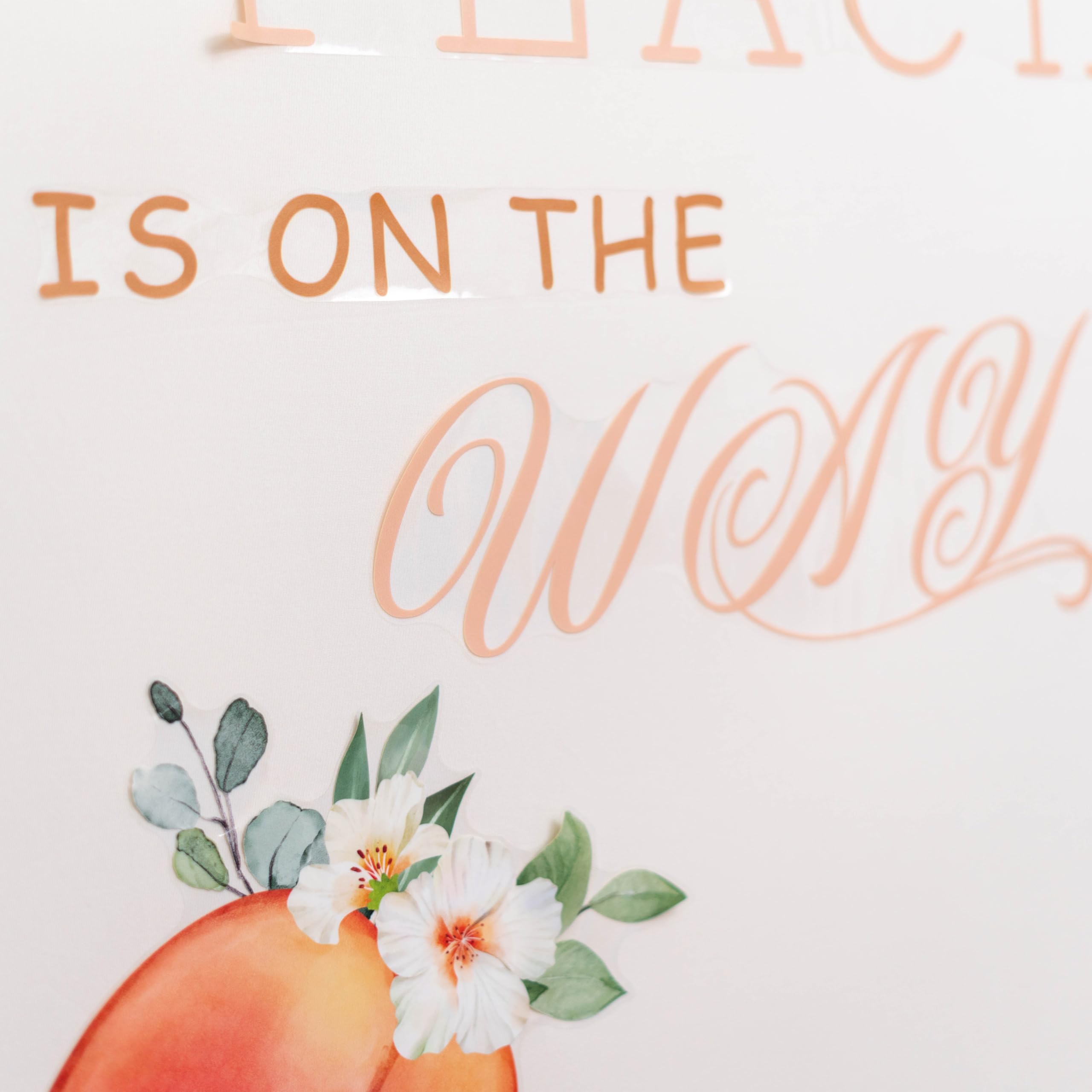 Capiont baby shower decor peach-theme wall enhances cheerful celebration vibes