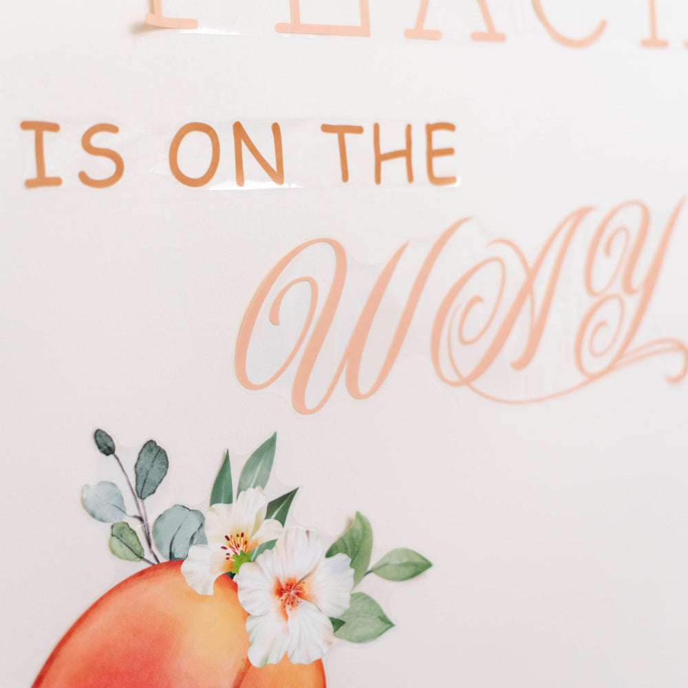 Capiont baby shower decor peach-theme wall enhances cheerful celebration vibes
