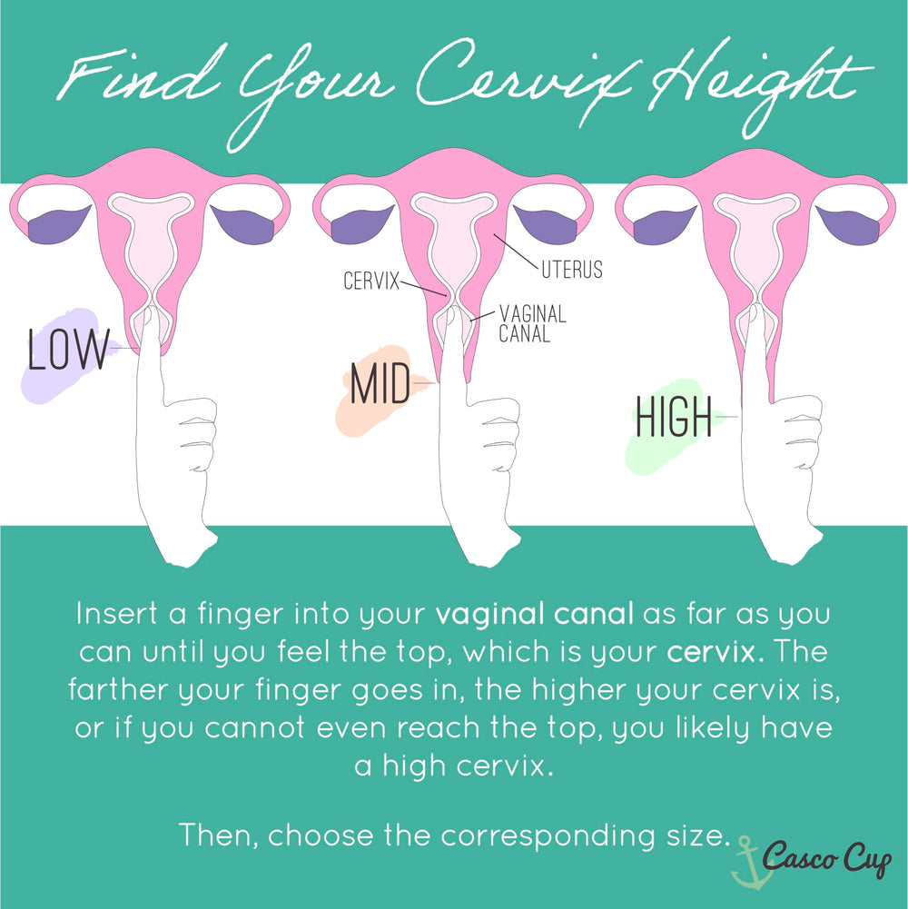 Casco Cup packaged in purse-sized case for discreet portability