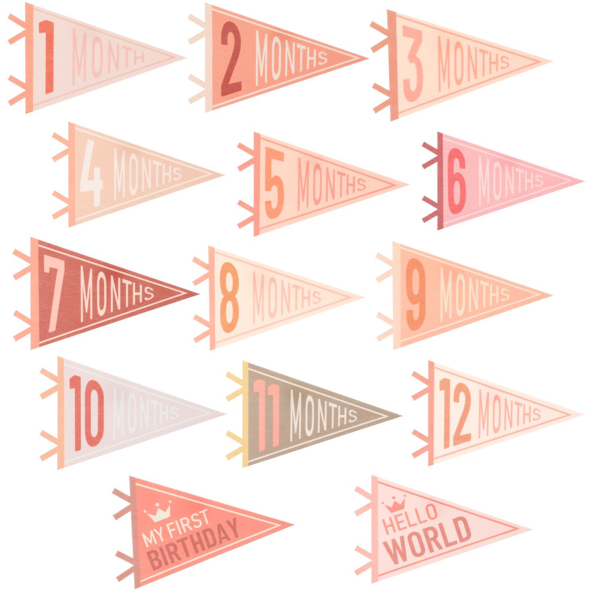 Cecliy 12 month pennant flag to capture monthly milestones in photos