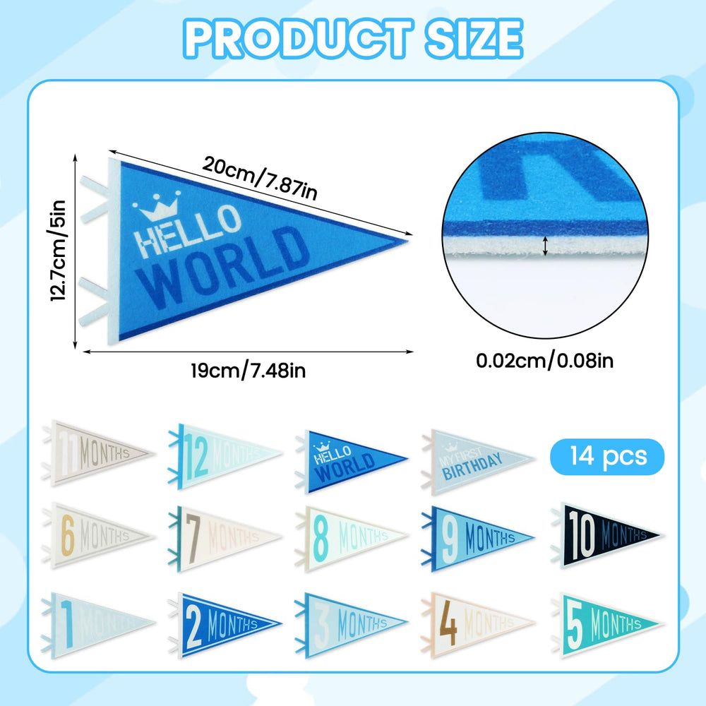 Cecliy colección de pennants mensuales con colores brillantes y patrones divertidos.