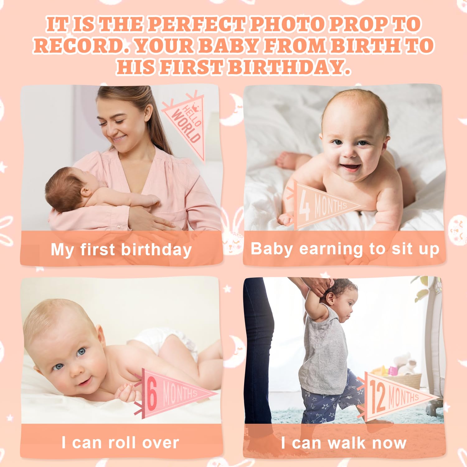 Cecliy first year photo prop pennants help tell your baby's year visually