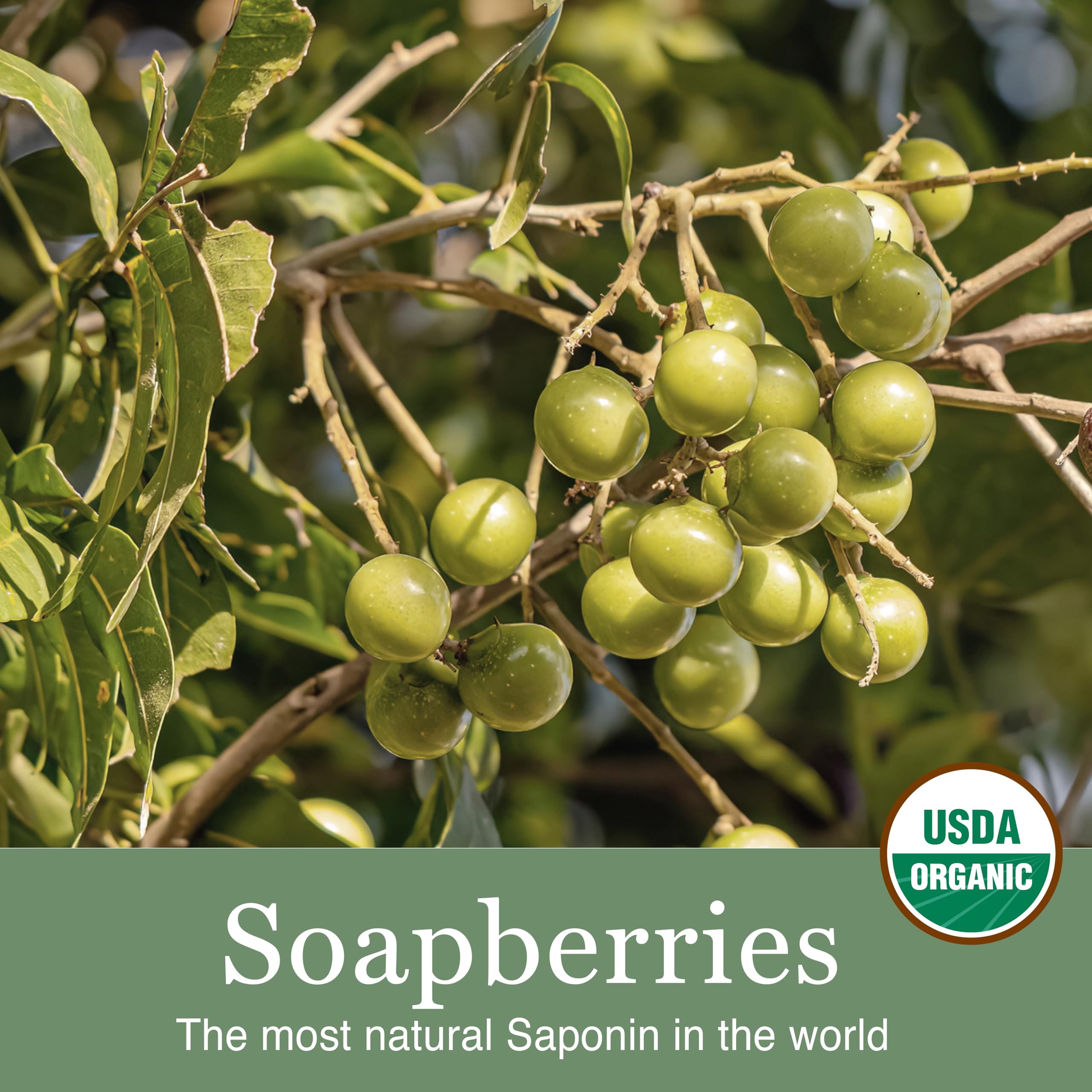 Celéme Soapberry Wash supports gentle skin balance.