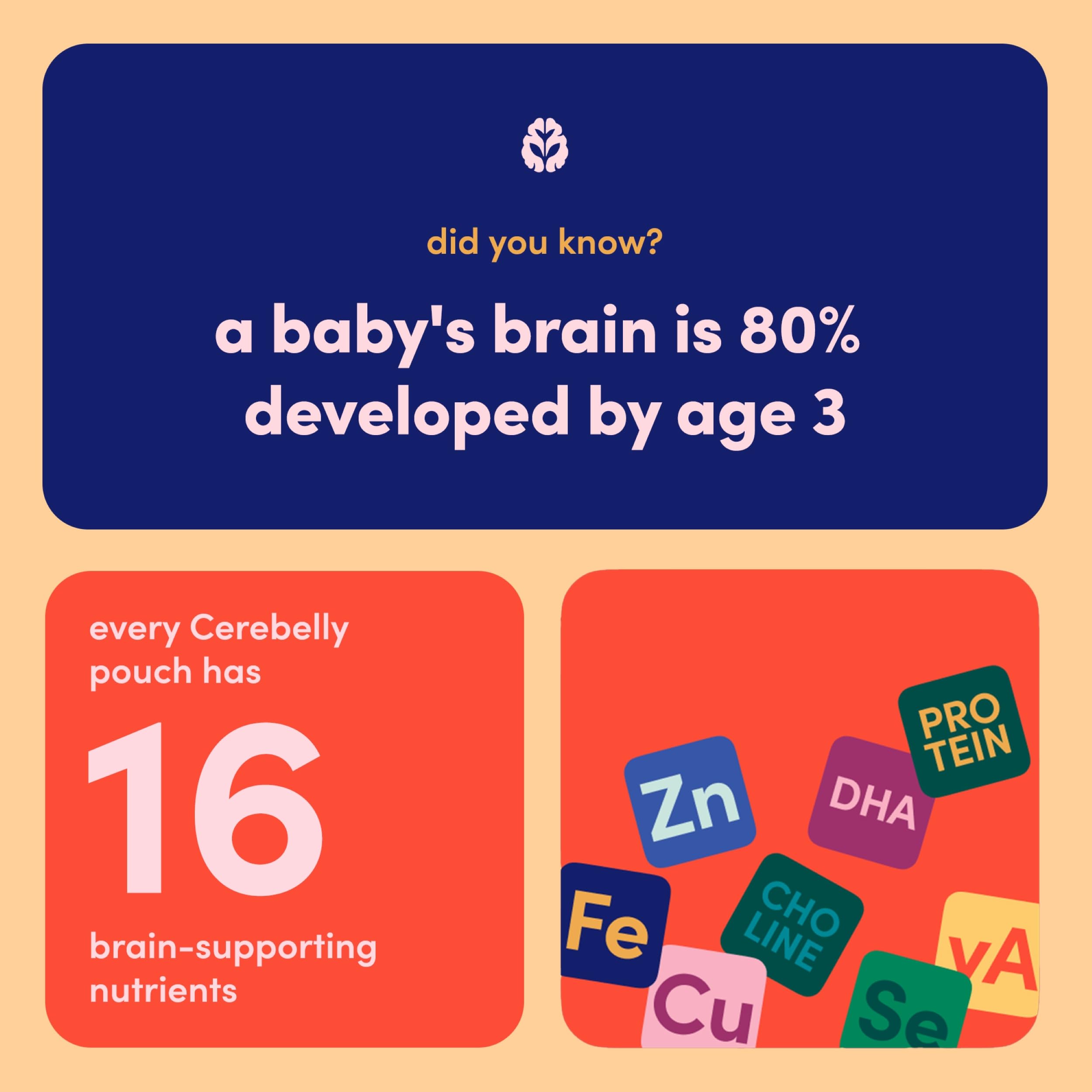 Cerebelly batch code and expiration date on packaging for transparency and safety