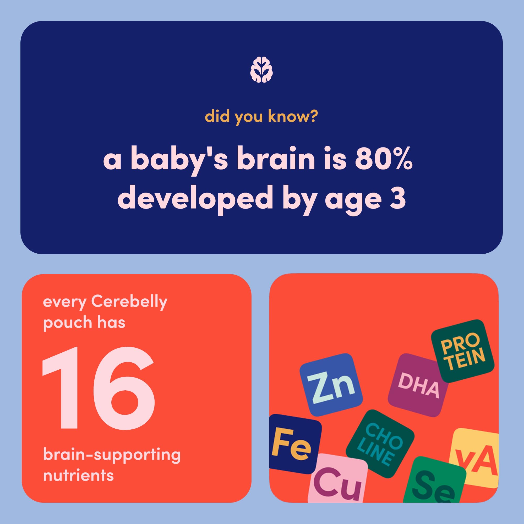 Cerebelly packaging shows expiration dates and lot codes for transparency