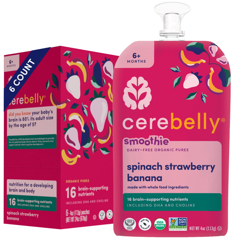 Cerebelly spinach-strawberry-banana pouch for on-the-go toddler meals.