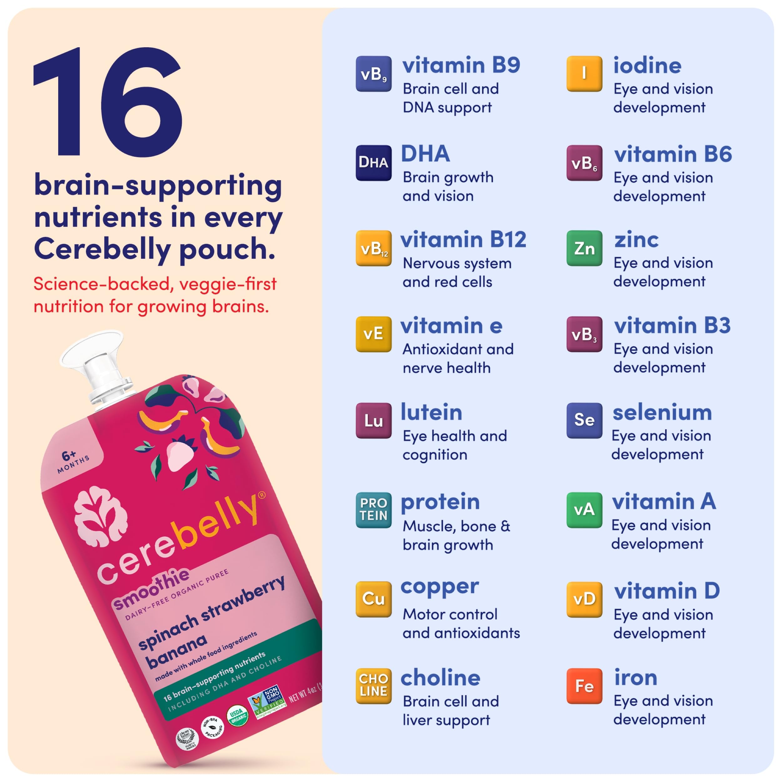 Cerebelly spinach-strawberry-banana pouch shown in travel-friendly packaging.