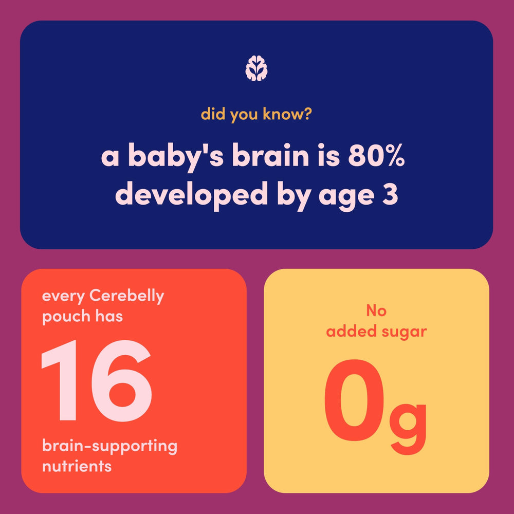 Cerebelly Stage 1–3 pouch fits baby meals or toddler snacks