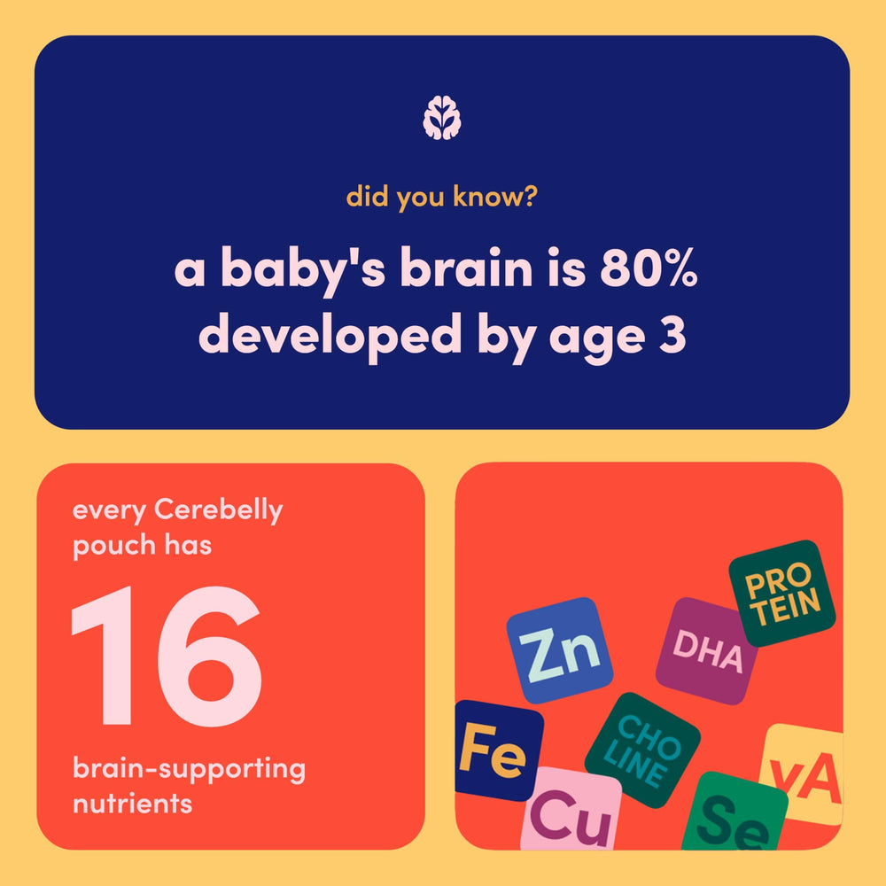 Cerebelly stage 1-3 pouches suitable for babies and toddlers during meals.