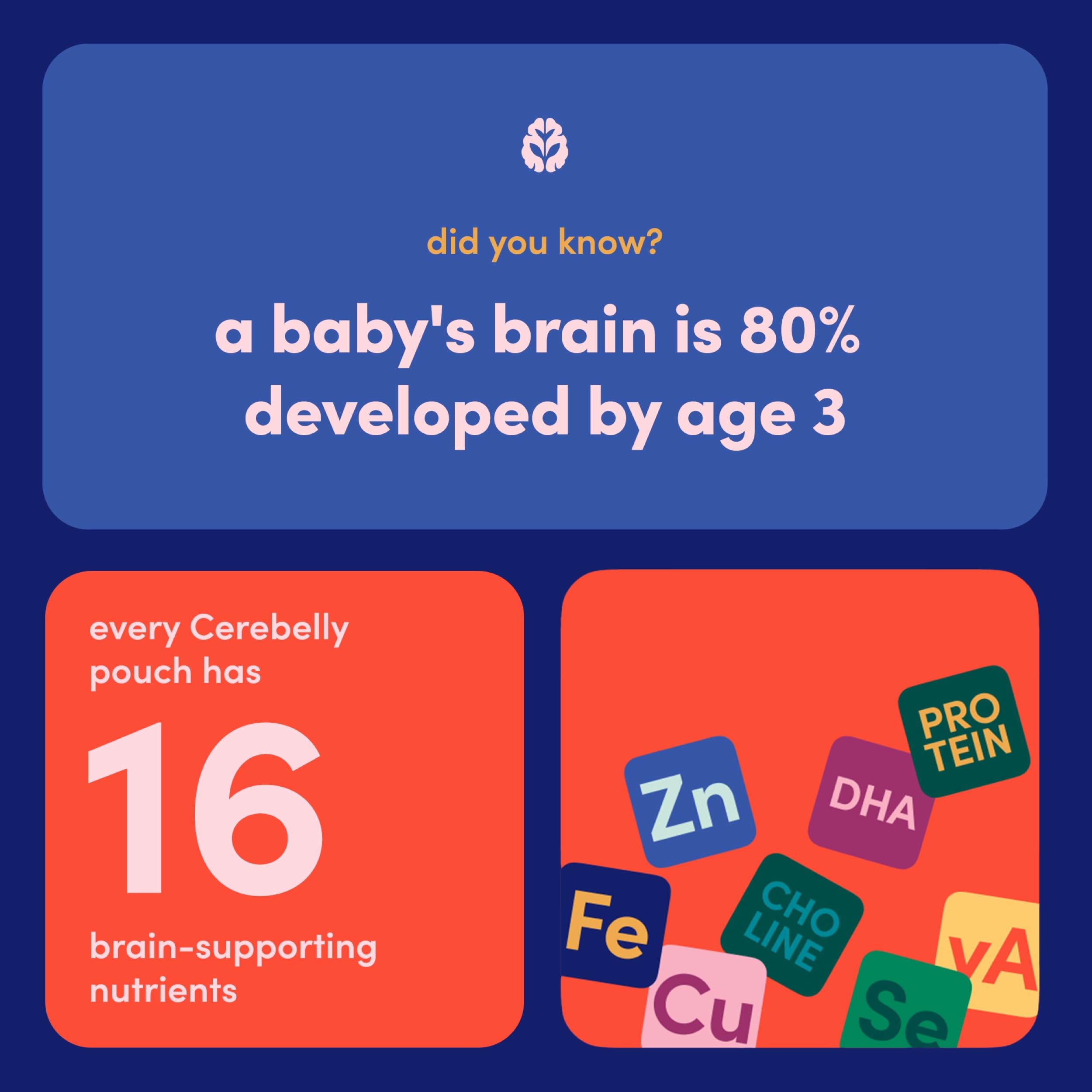 Cerebelly stage-flexible pouch suitable from Stage 1 to Stage 3.