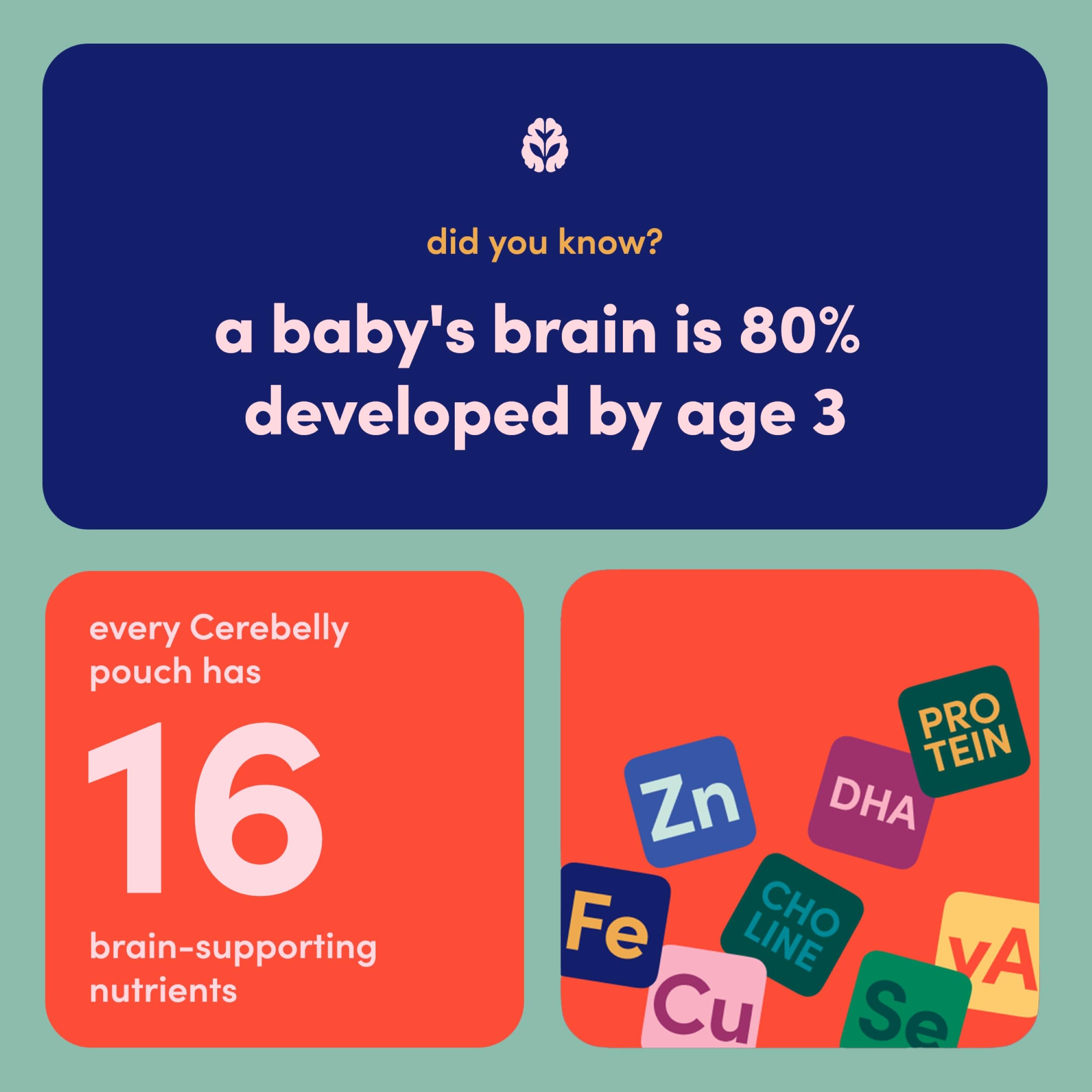 Cerebelly travel-friendly packaging ideal for trips and daycare.