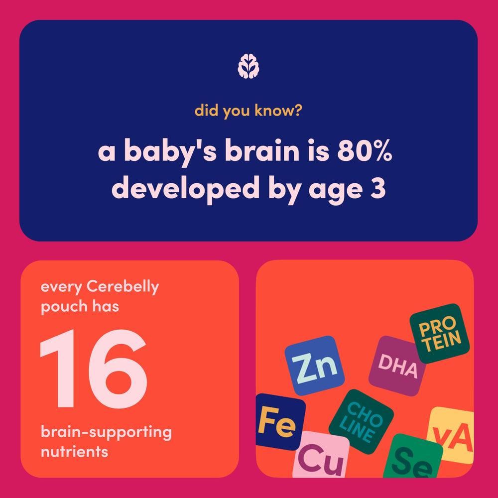 Cerebelly spinach-strawberry-banana pouch emphasizes gluten-free and nut-free ingredients.