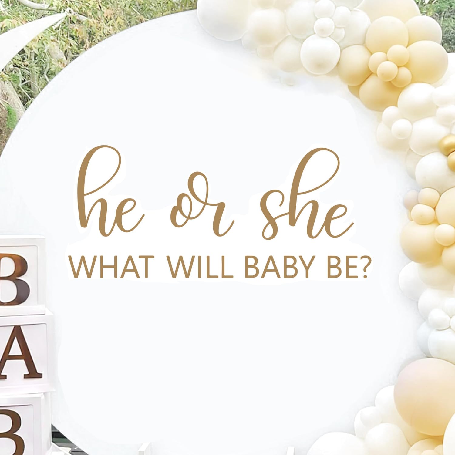 CEUQIESO He Or She balloon arch backdrop for gender reveal party.