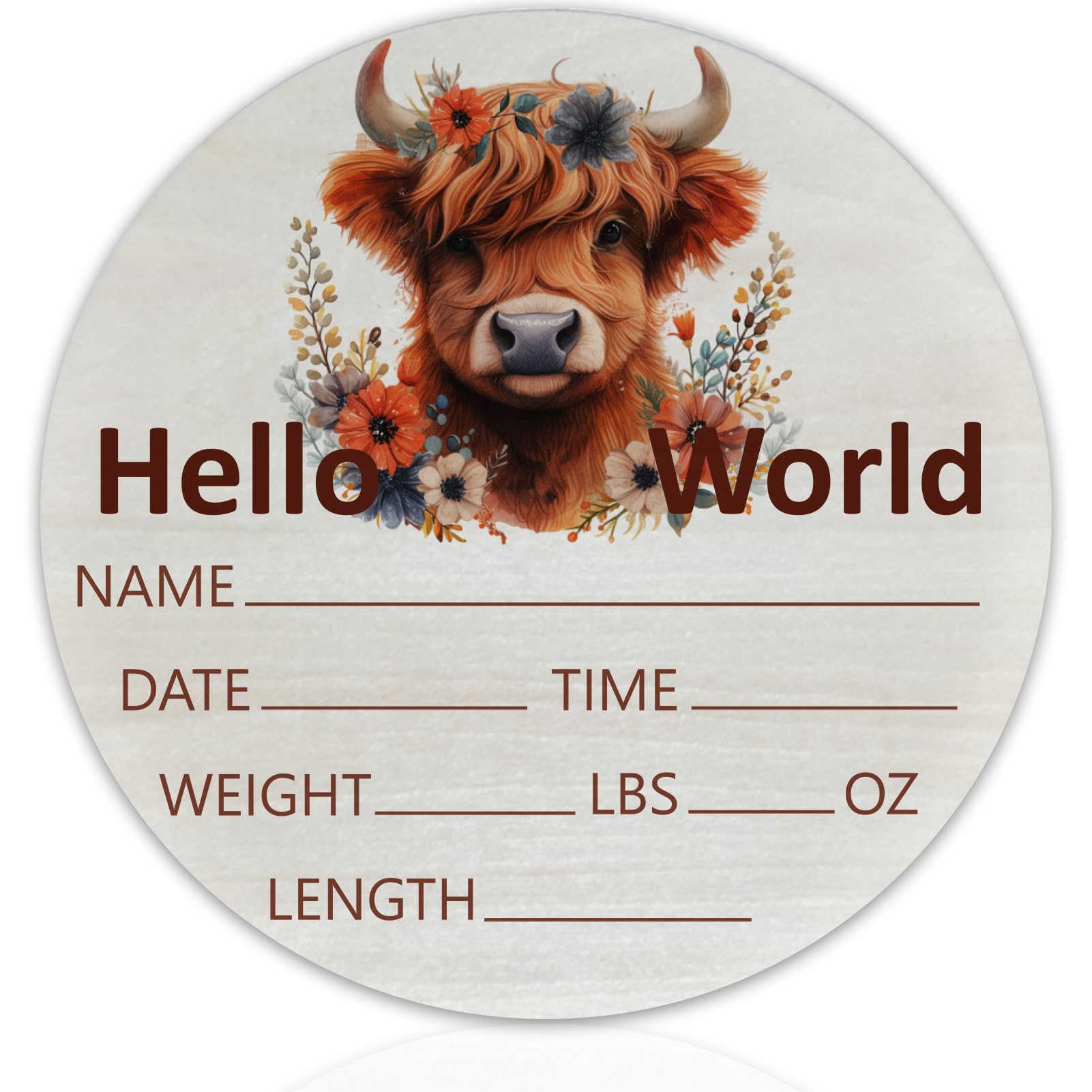 CLHHM hello world sign on birch wood enhances nursery decor and keepsake value.