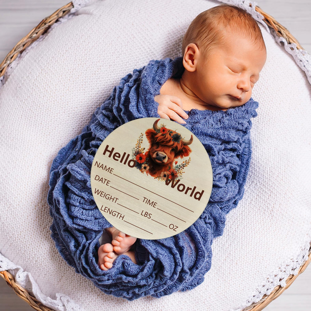 CLHHM red Highland Cow sign creates a playful focal point.